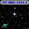 TYC 4005-1334-1