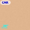GMR N