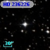 HD 236226