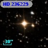 HD 236229