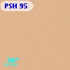 PSH  95