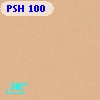 PSH 100