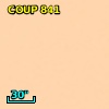 COUP J053516.9-052209