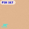 PSH 167