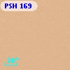 PSH 169