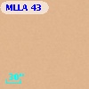 MLLA   43