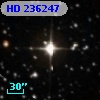 HD 236247
