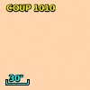 COUP  1010