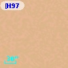 MLLA  262