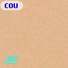 COUP J053521.3-052215
