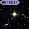 HD 236254