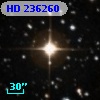 HD 236260
