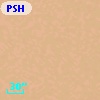 PSH 152