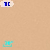 [BE83] IR 208.99-19.39A