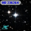 HD 236264