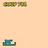 COUP J053516.2-052319
