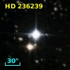 HD 236239