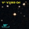 V* V1069 Ori