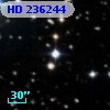 HD 236244