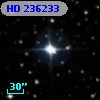 HD 236233