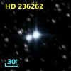 HD 236262