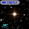 HD 236252