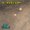 V* V1615 Ori