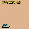 V* V1273 Ori