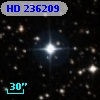 HD 236209