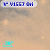 V* V1557 Ori
