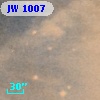 JW 1007