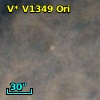 V* V1349 Ori