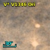 V* V1346 Ori