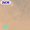 [NCM2003] MIR 31