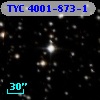 TYC 4001-873-1