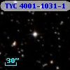 TYC 4001-1031-1