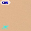 COUP J053510.6-052332