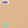 COUP J053510.4-052149
