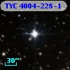 TYC 4004-228-1