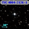 TYC 4004-2126-1