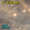 V* V569 Ori