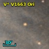 V* V1663 Ori