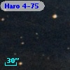 Haro 4-75