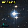 HD  36629