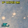 V* V1703 Ori