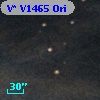 V* V1465 Ori