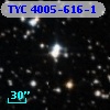 TYC 4005-616-1
