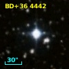BD+36  4442