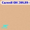 Caswell OH 208.99-19.38