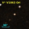 V* V1063 Ori